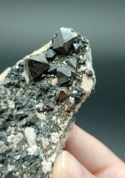 Magnetita drusa de cristales