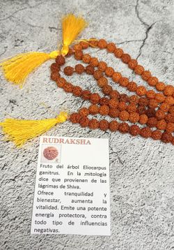 Mala de Rudraksha