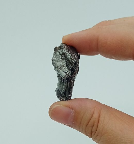 Meteorito Férrico Octaedrita de grano grueso