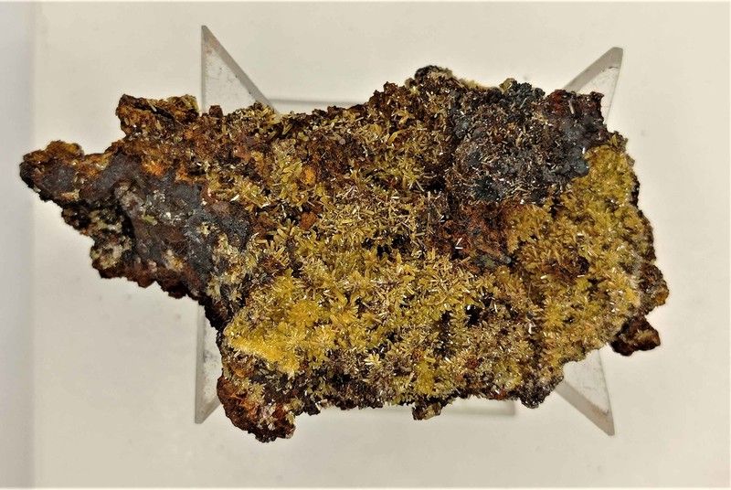 Mimetita sobre limonita