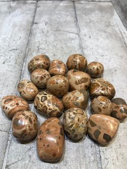 Rodado de Oncolito