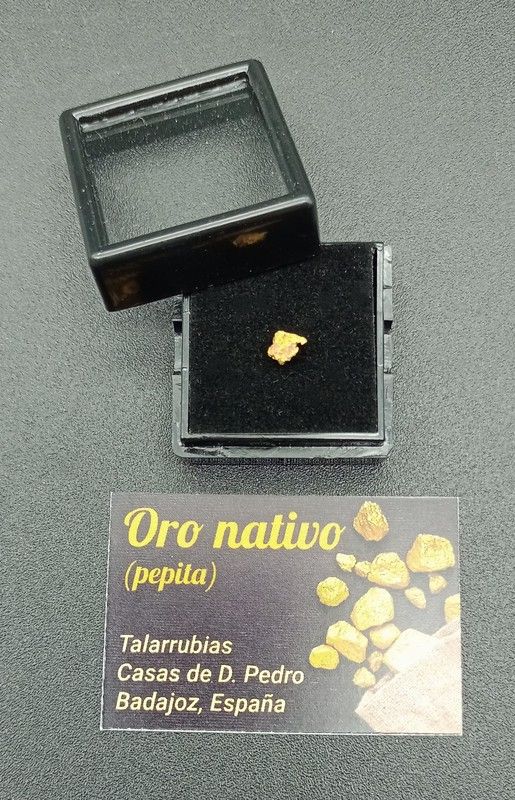 Oro Nativo (pepitas de 0,1 g) Ref. 1.2