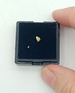 Oro nativo (Pepita de aluvión)