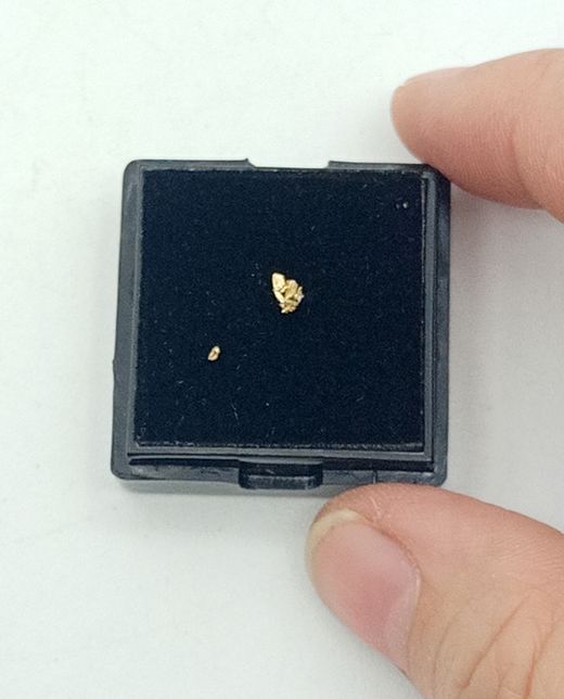 Oro nativo (Pepita de aluvión)