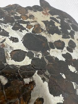 Pallasita "Meteorito férrico" con Cristales de Olivino