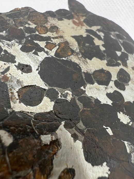 Pallasita "Meteorito férrico" con Cristales de Olivino