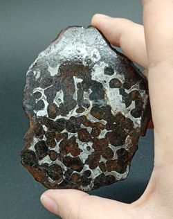 Pallasita (Meteorito férrico con Cristales de olivino)