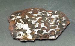 Pallasita (Meteorito férrico con Cristales de olivino)