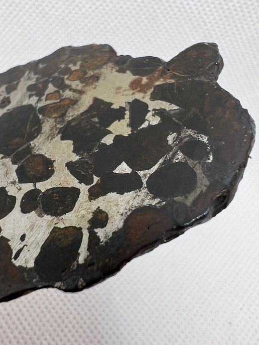 Pallasita "Meteorito férrico" con Cristales de Olivino