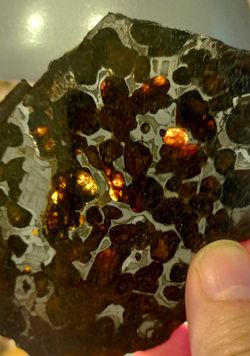 Pallasita (Meteorito férrico con Cristales de olivino)