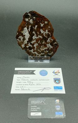 Pallasita (Meteorito férrico con Cristales de olivino)