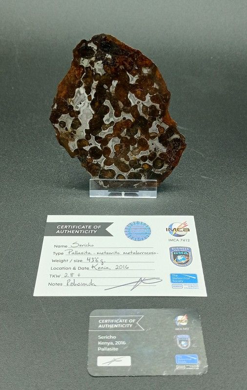 Pallasita (Meteorito férrico con Cristales de olivino)