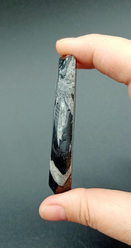 Piedra Crisantemo - R2