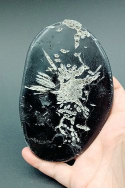 Piedra Crisantemo