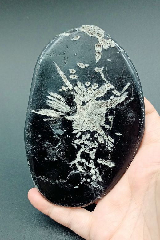 Piedra Crisantemo