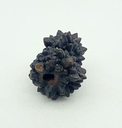 Piedra de la Profecía (Nódulo de Marcasita) - Ref.12
