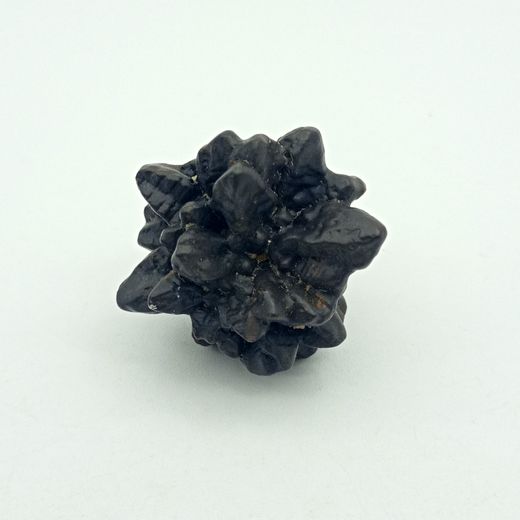 Piedra de la Profecía (Nódulo de Marcasita) - Ref.11