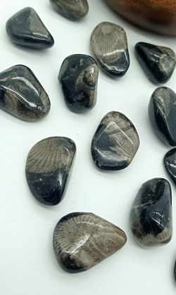 Piedra del Vaticano (Frosterly Marble)