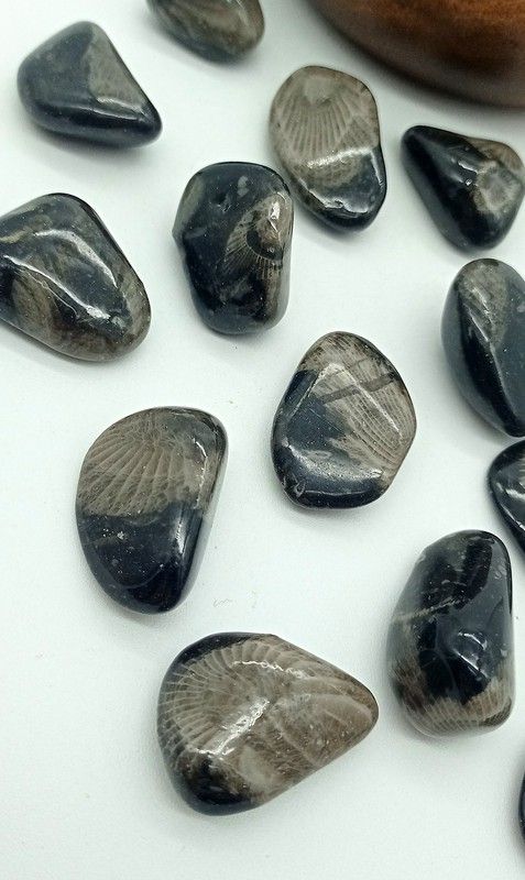 Piedra del Vaticano (Frosterly Marble)