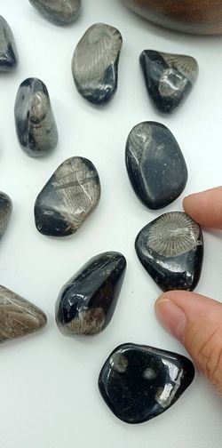 Piedra del Vaticano (Frosterly Marble)