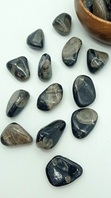 Piedra del Vaticano (Frosterly Marble)
