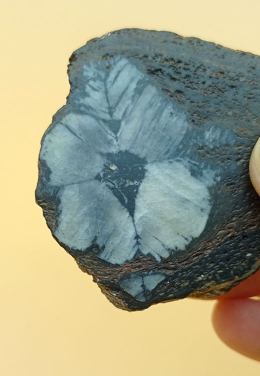 Pieza de Quiastolita