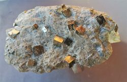 Pirita multitud de cristales cúbicos en matriz