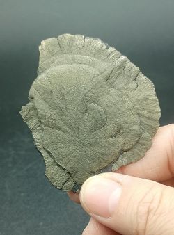 Pirita sol