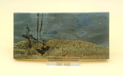 Placa de Caohua Stone