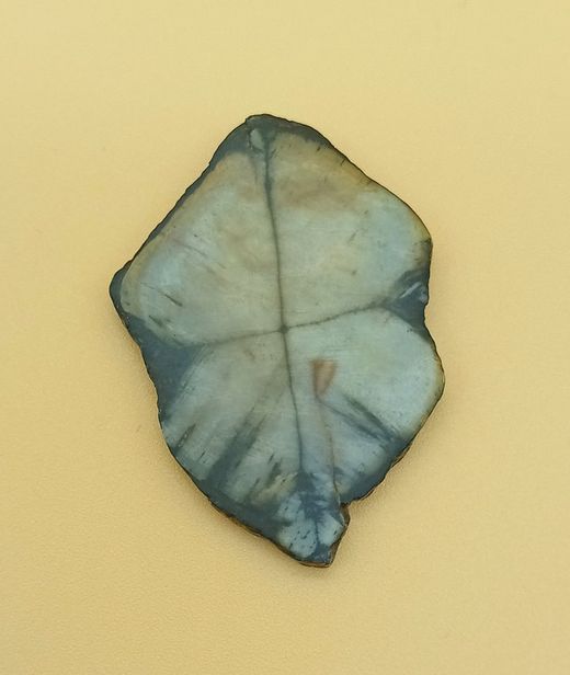 Placa de Quiastolita - (Ref. 1)