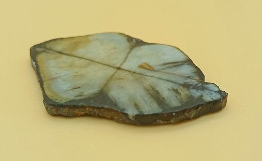 Placa de Quiastolita - (Ref. 1)