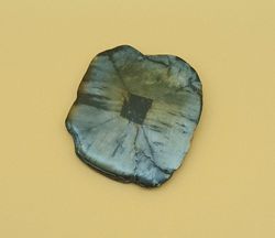 Placa de Quiastolita - (Ref. 3)