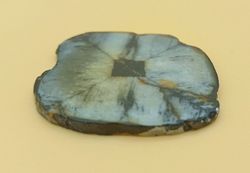Placa de Quiastolita - (Ref. 3)