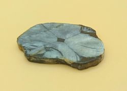Placa de Quiastolita - (Ref. 4)