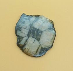 Placa de Quiastolita - (Ref. 5)