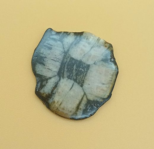 Placa de Quiastolita - (Ref. 5)