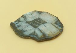 Placa de Quiastolita - (Ref. 5)