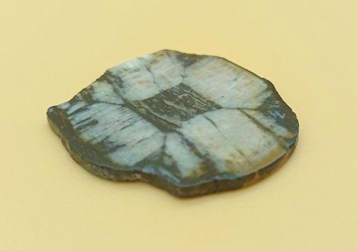 Placa de Quiastolita - (Ref. 5)