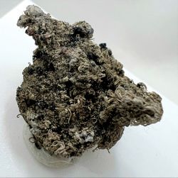Plata Nativa