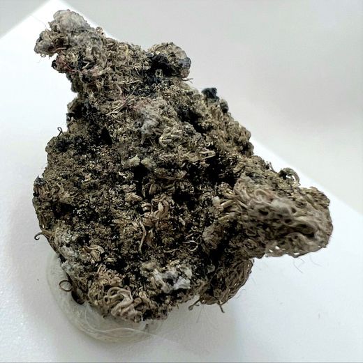 Plata Nativa