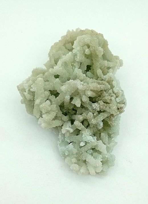 Prehnita