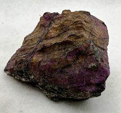 Purpurita