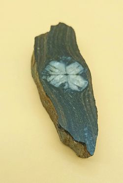 Quiastolita