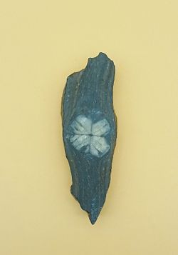 Quiastolita