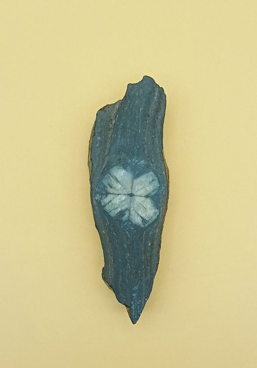 Quiastolita