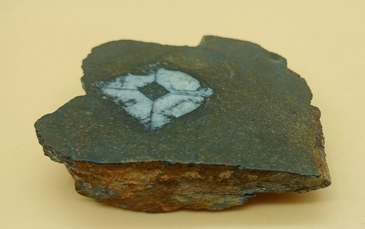 Quiastolita sección