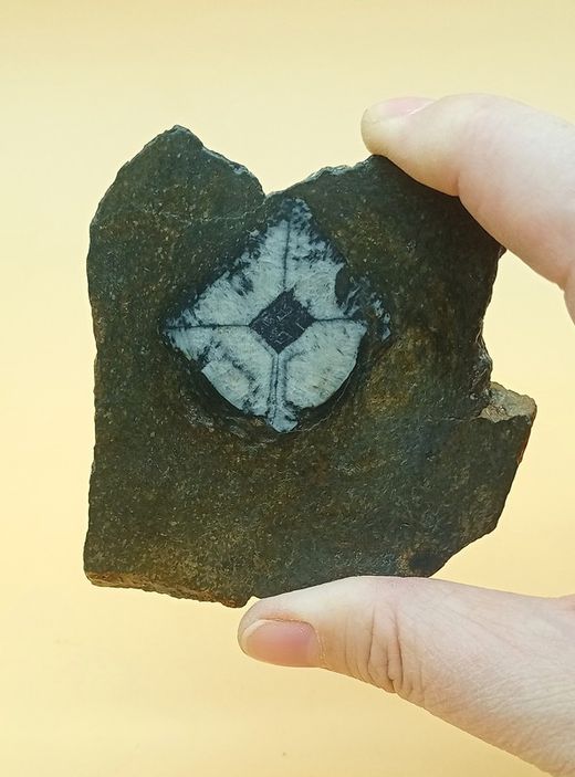 Quiastolita sección