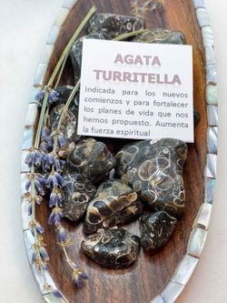 Rodado de Ágata Turritella