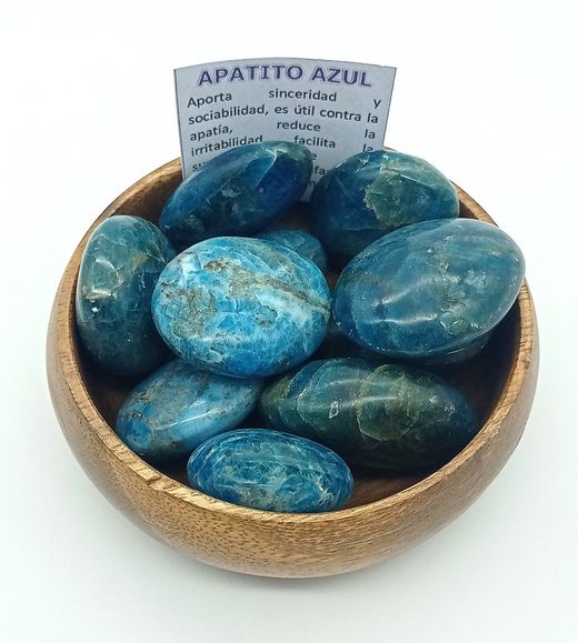 Rodado Apatito azul XL