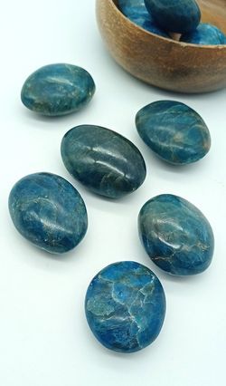 Rodado Apatito azul XL